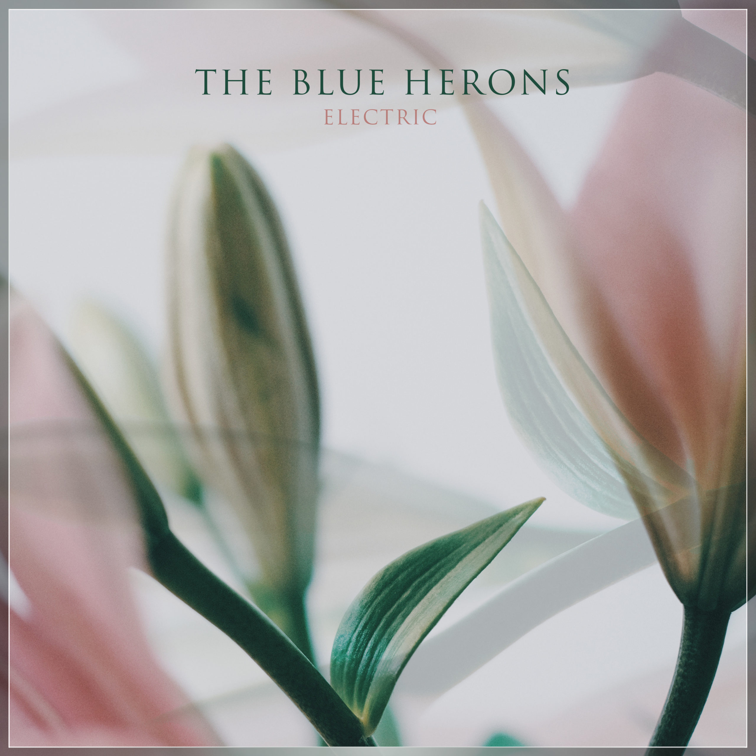 The Blue Herons - Electric